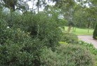 Blackbutt NSWresidential-landscaping-35.jpg; ?>
