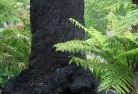 Blackbutt NSWresidential-landscaping-37.jpg; ?>