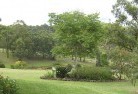 Blackbutt NSWresidential-landscaping-40.jpg; ?>
