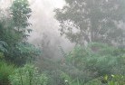 Blackbutt NSWresidential-landscaping-50.jpg; ?>